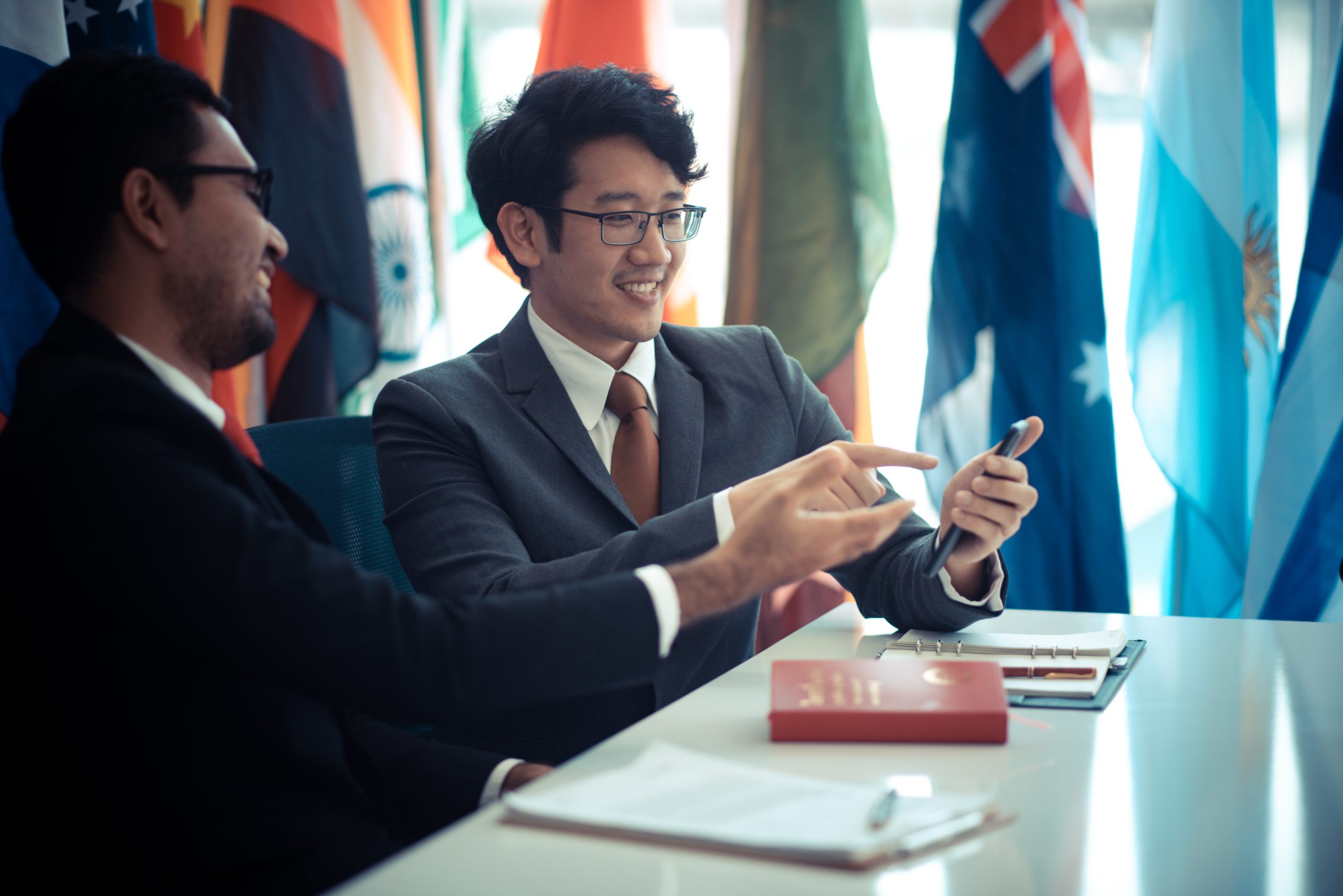 Master of Sciences in International Relations (MSc)